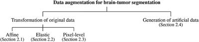 Data Augmentation for Brain-Tumor Segmentation: A Review